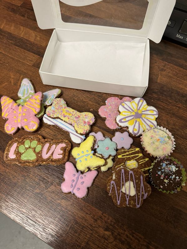 Spring/Summer Sampler Assortment