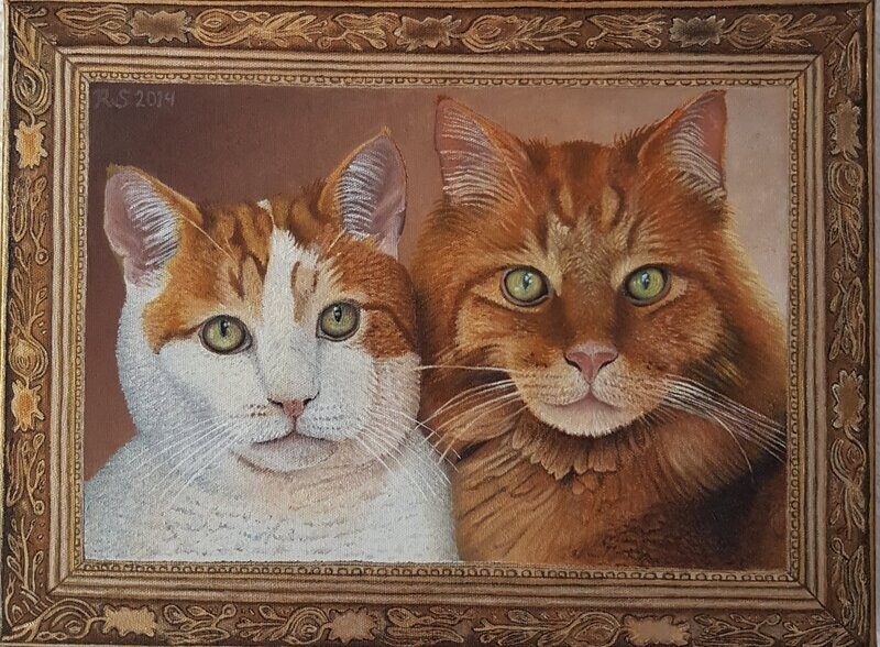 Twee Katten