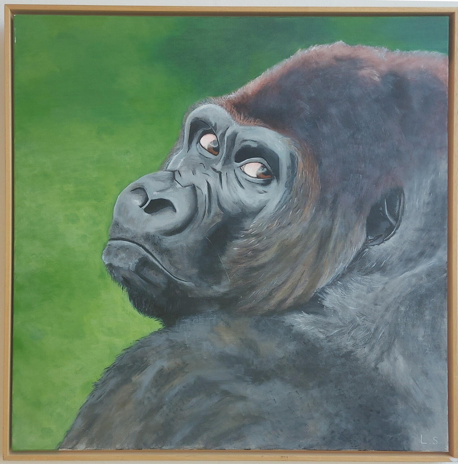 Gorilla