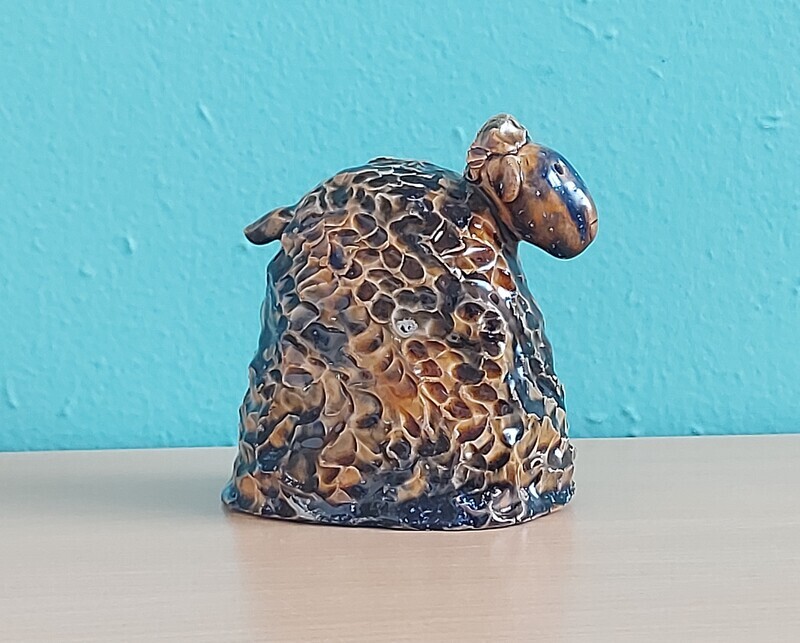 Schaap