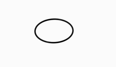 O-RING, REDS QUICK PIT STICK BODY (2 pcs)