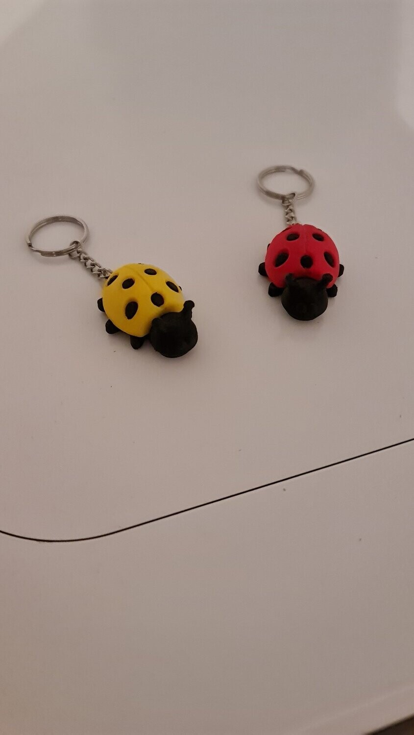 coccinelle