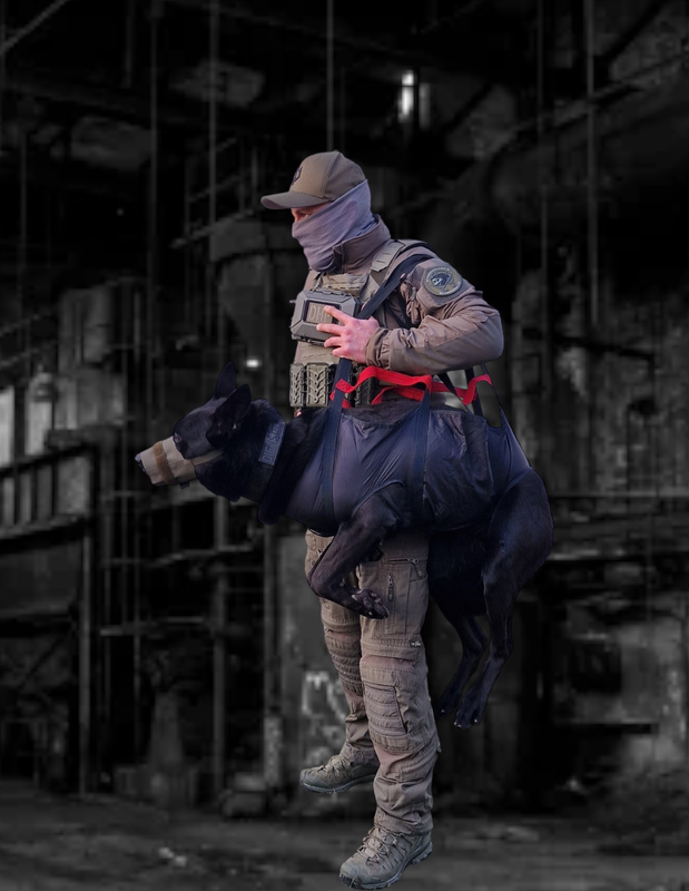 Stormcaller´s Rescue