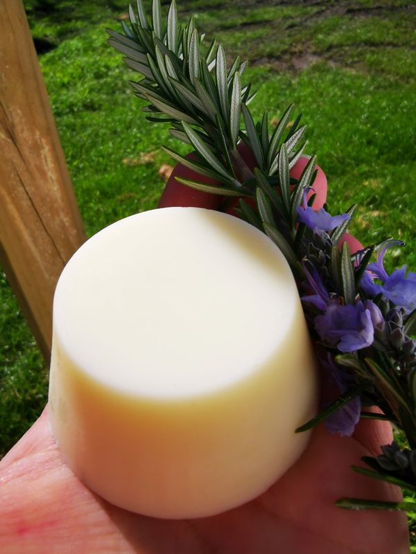  Castor Oil Conditioner Bar