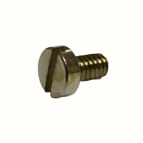Neumann U87 mic screw part 060028 with slotted cheese head short stubby threaded body on a white background