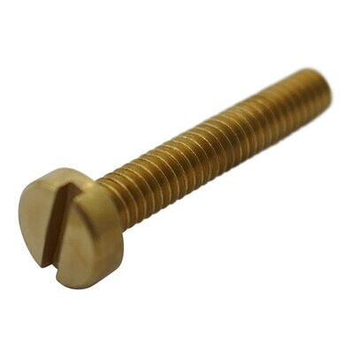 Neumann Brass coloured screw with slotted cheese head long and thin threaded body on a white background