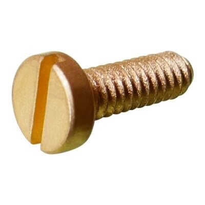 Neumann Small brass coloured screw with slotted head for U87 Ai microphone on a white background
