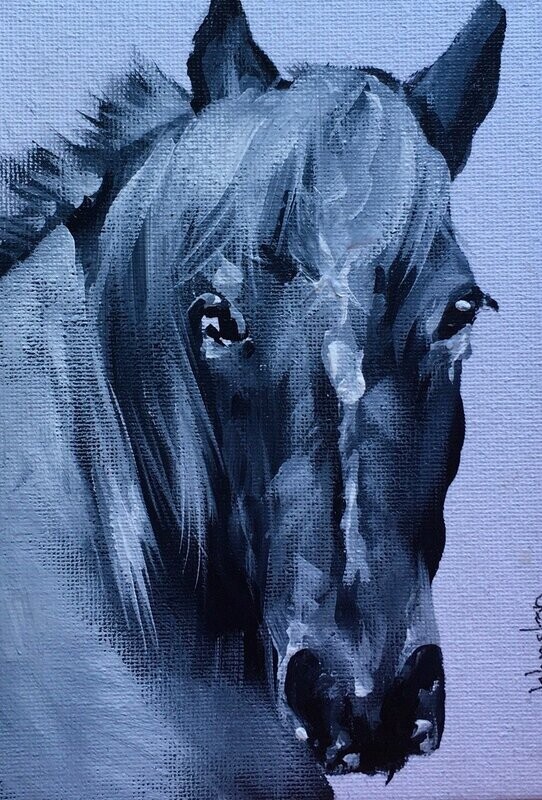 Gray Mare by Elaine Johnson