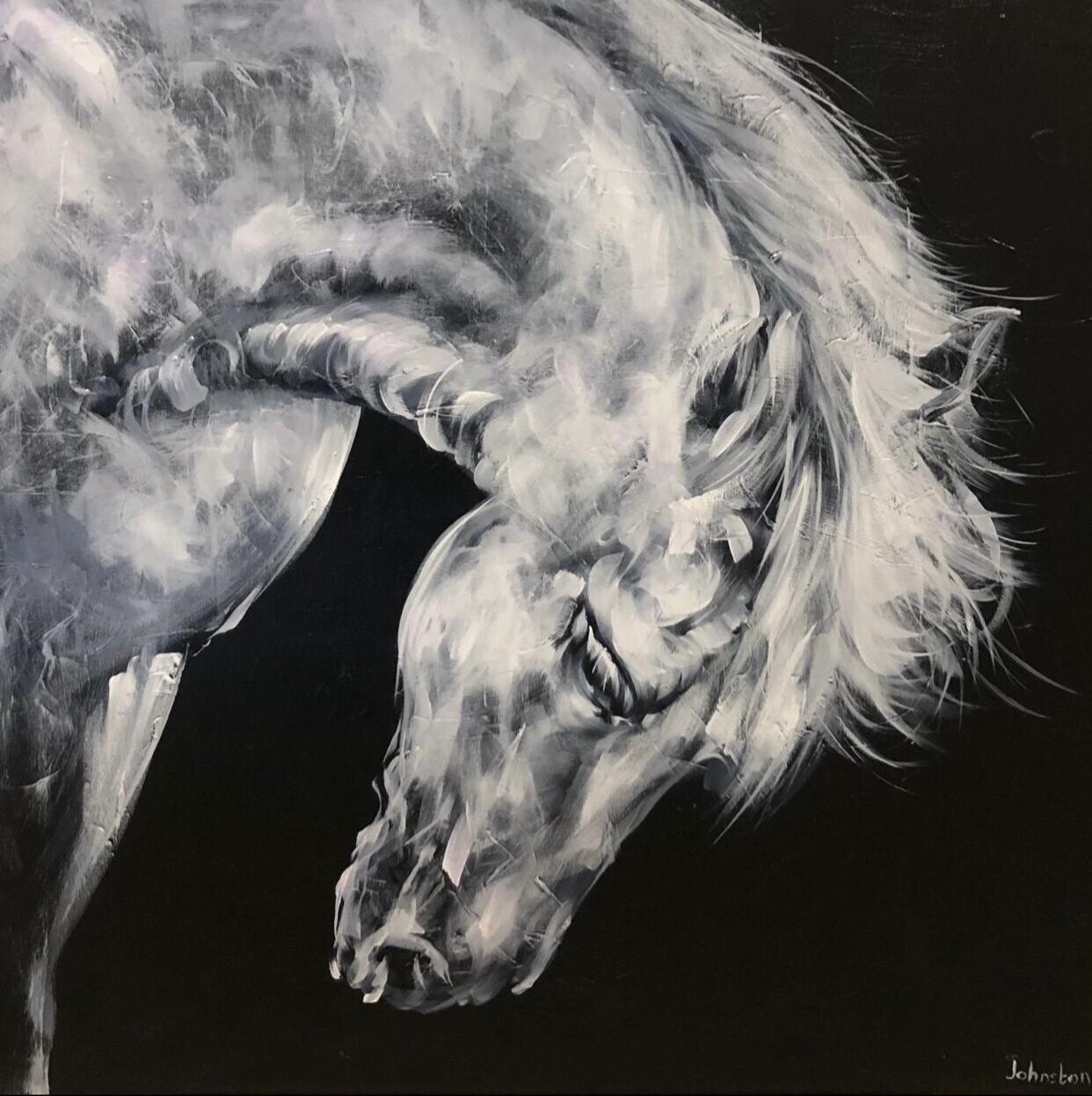 The Noble Horse by Elaine Johnston