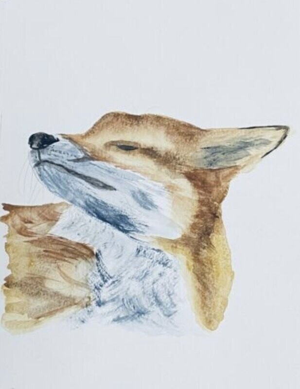The Canny Fox by David Coleman