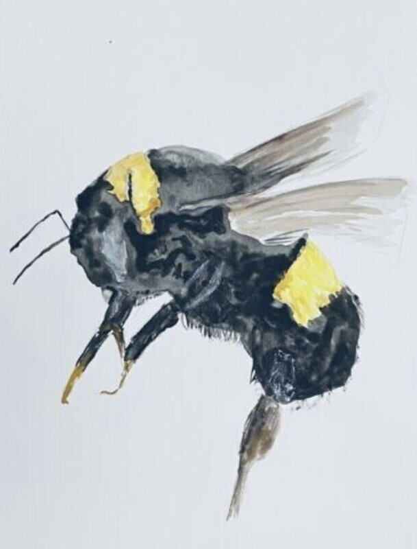 The Bumble Bee by David Coleman