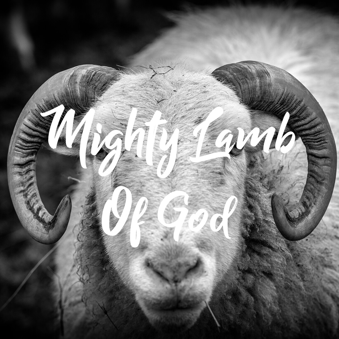 [MP3] Mighty Lamb Of God [SINGLE]