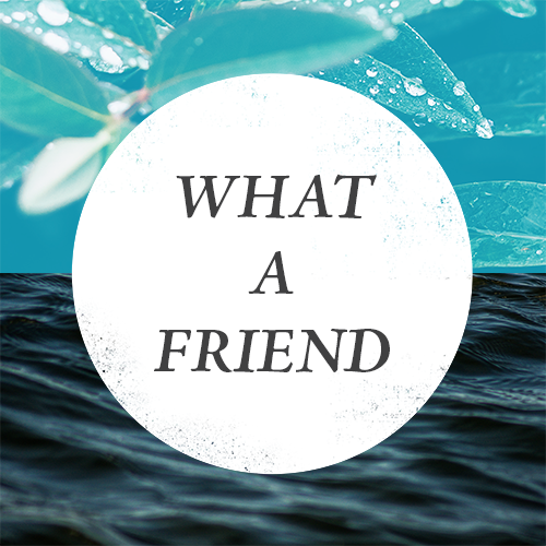 [WSBT] What a Friend Tracks