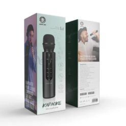 Green Lion Karaoke Microphone