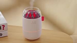 H2O Humidifier