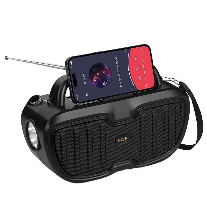 portable wireless Bluetooth speaker