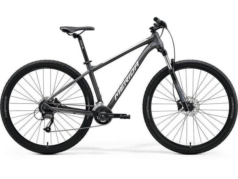 Big Nine 60 (XL In Stock)