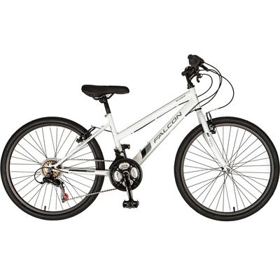 Falcon Aurora 24”