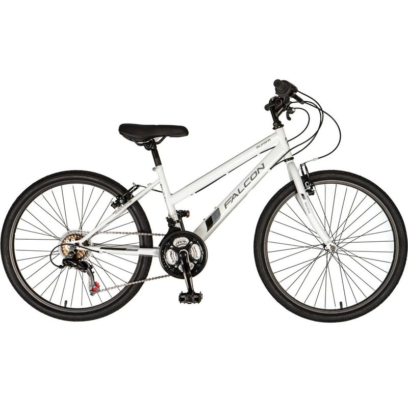 Falcon Aurora 24”