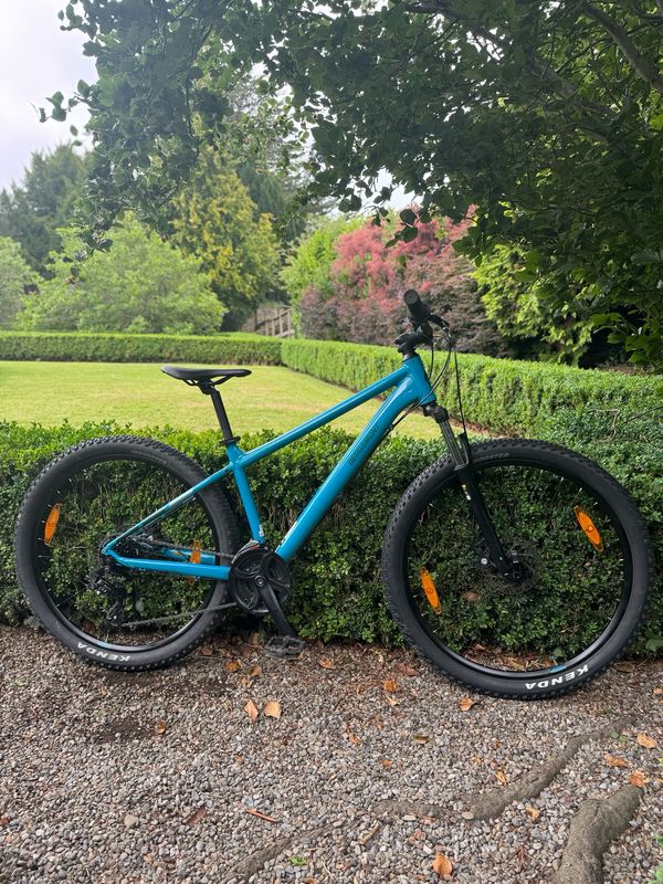 Bergamont Revox 2