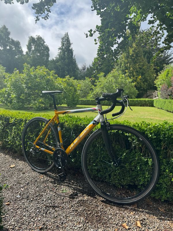Roubaix