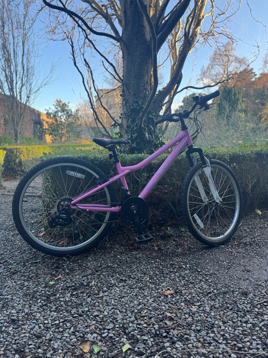 Monato 24 Inches Kids