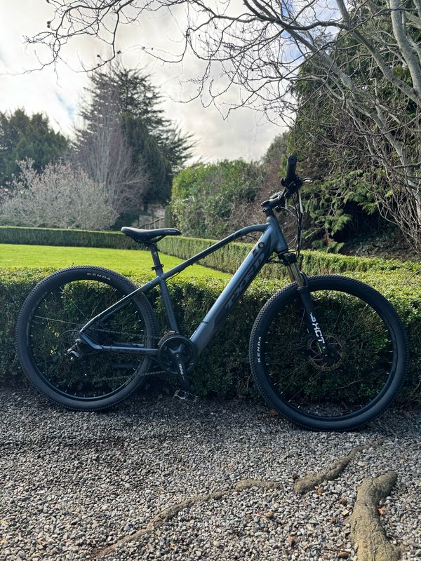 Electric Mountain bike