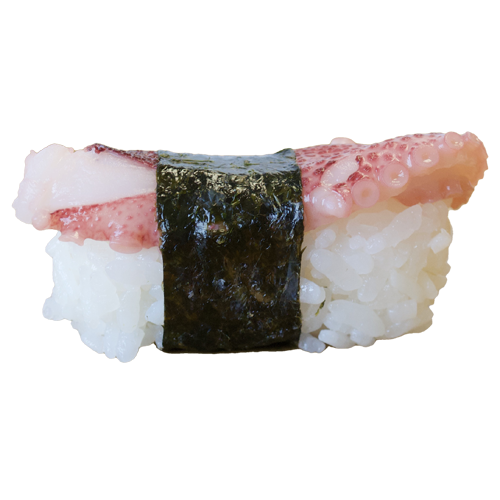Tako Nigiri