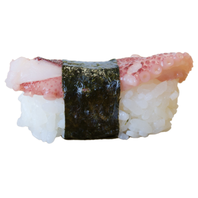 Tako Nigiri