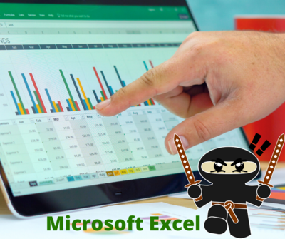 Microsoft Excel 2019 / Office 365 Essentials for Business