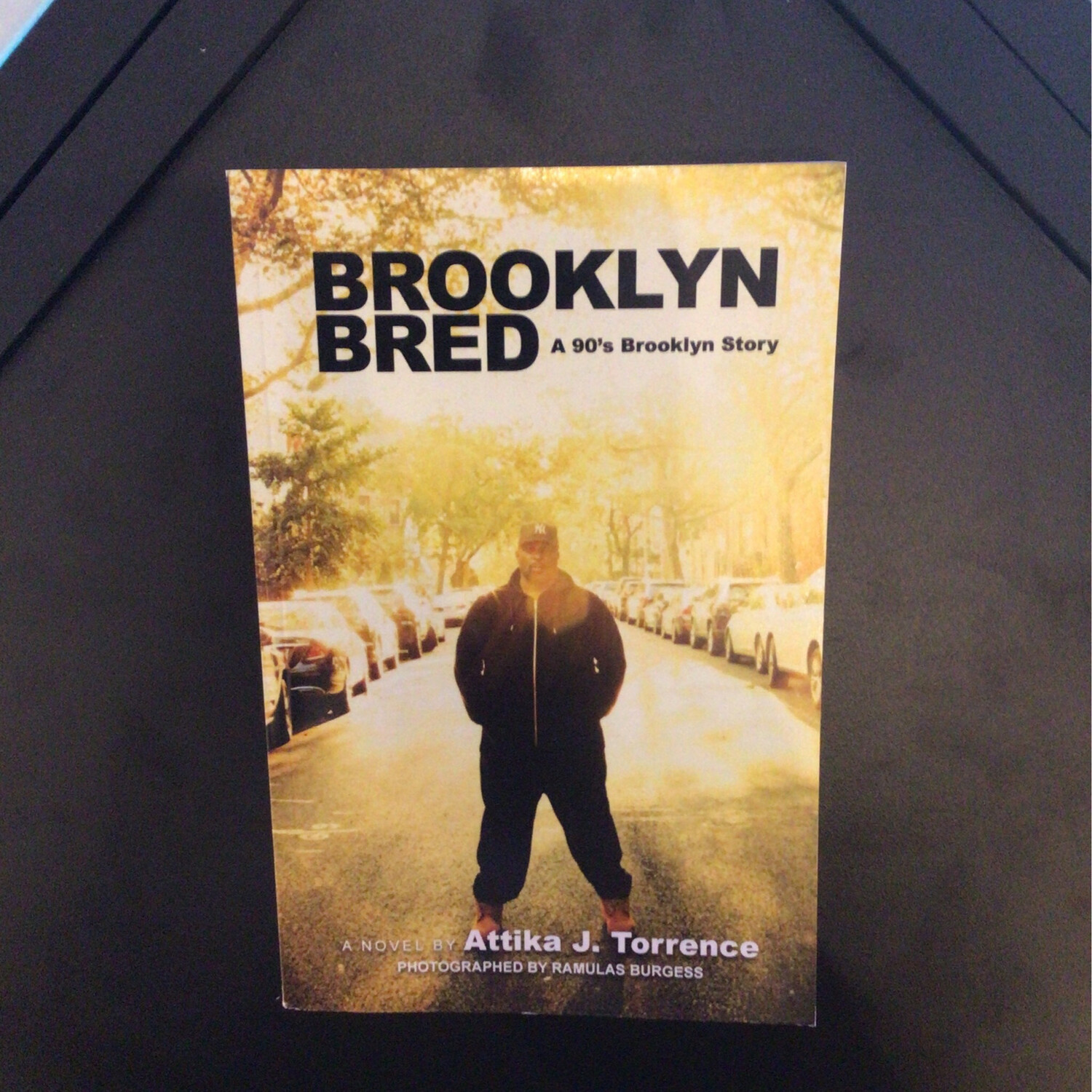 Brooklyn Bred (a 90's Brooklyn Story)