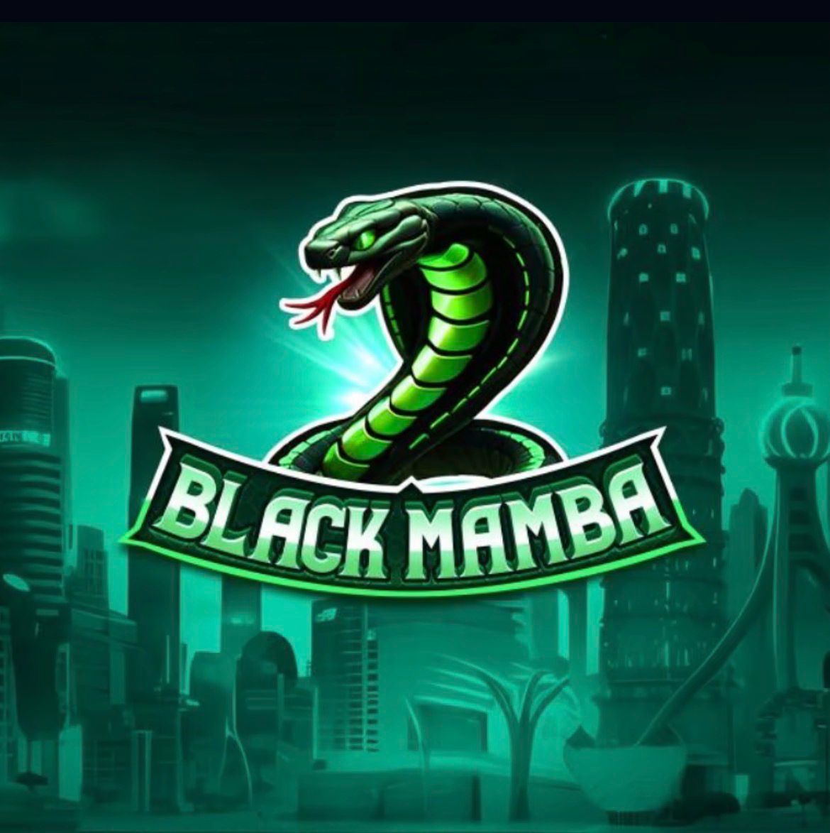Black Mamba 