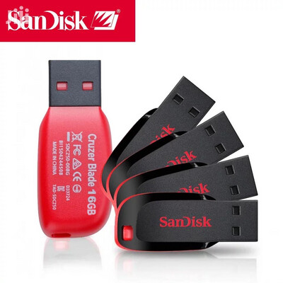Flash memory sandisk