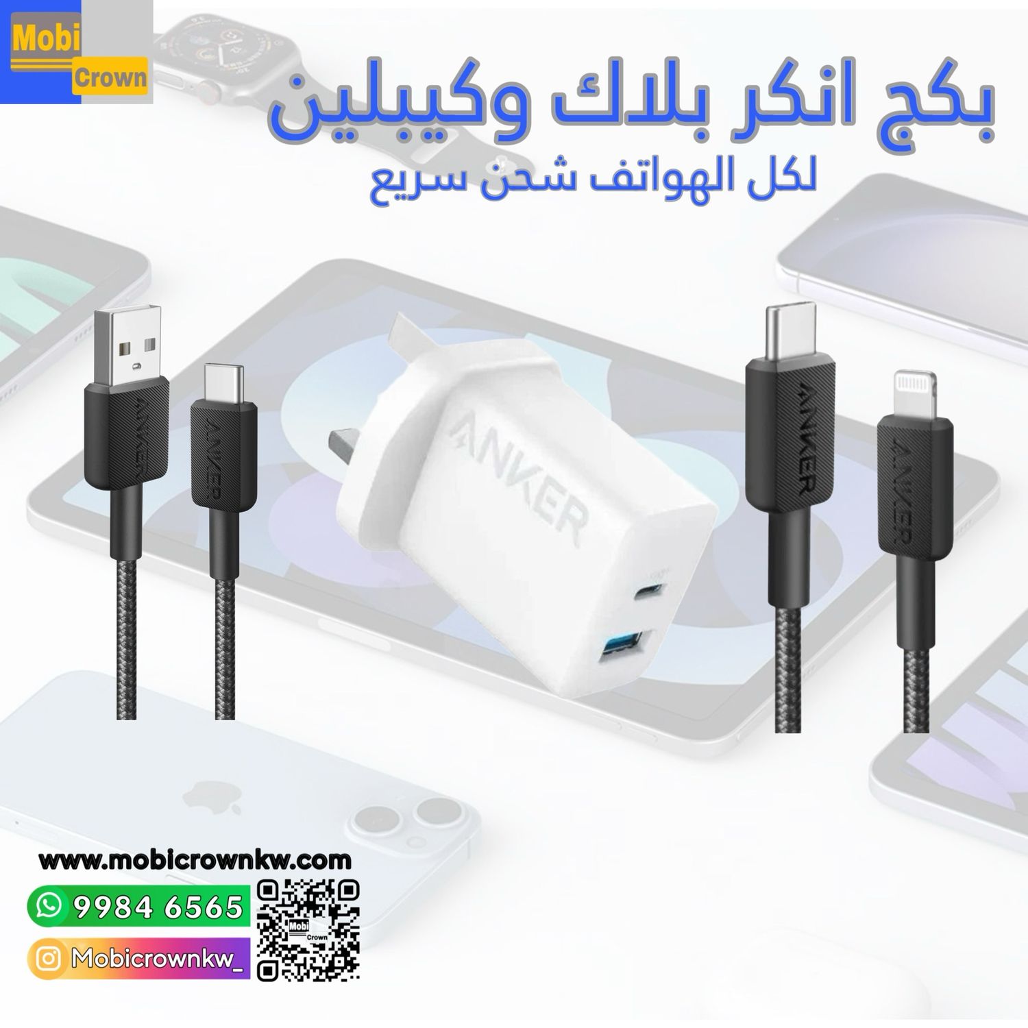 Anker bundle adapter 2-Port USB-C and Lightning Cable for All Devices Fast Charging