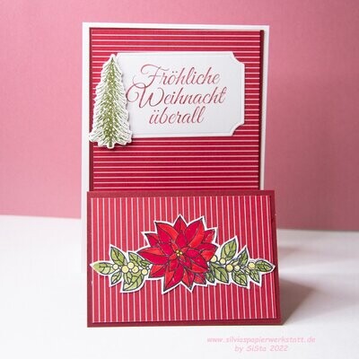 Weihnachtsstern Rot Weihnachtsstern Rot