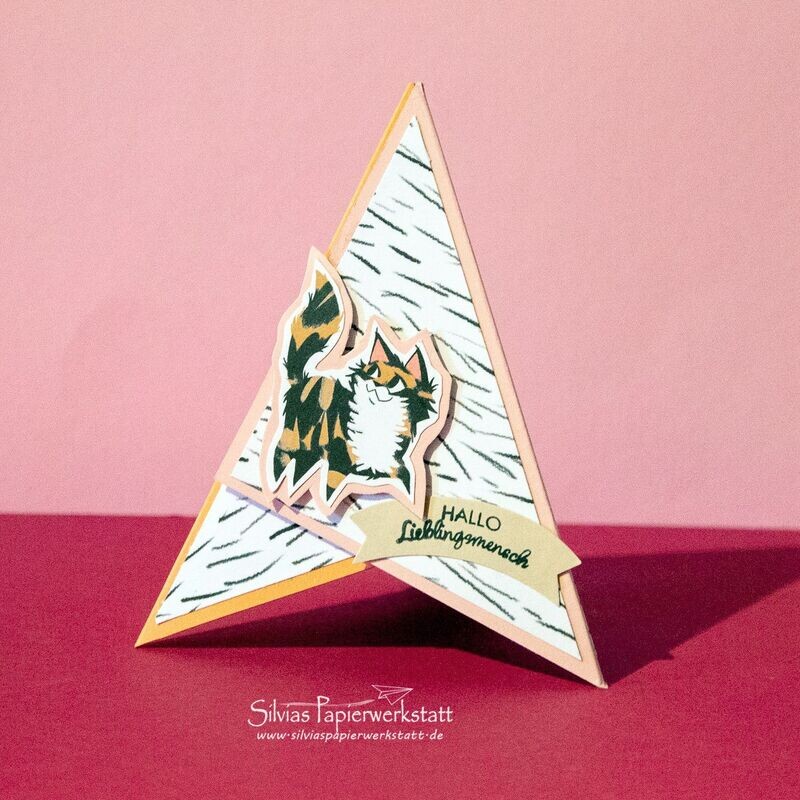 Pyramidenkarte mit Katze