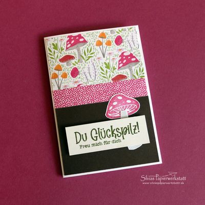 Du Glückspilz (Serie Pilzwiese) Du Glückspilz (Serie Pilzwiese)