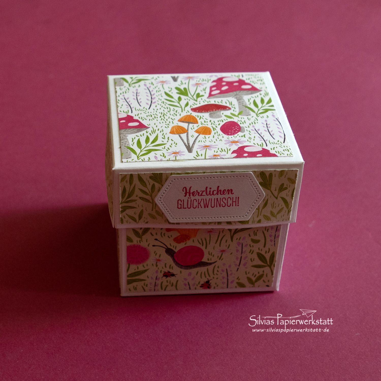 Geschenkbox "Pilzwiese"