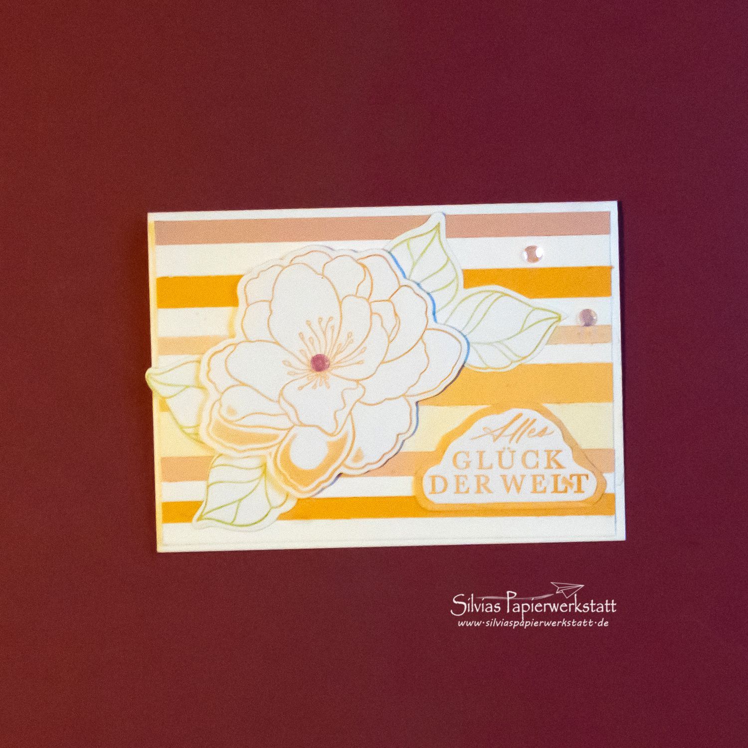 Große Blüte auf Streifen