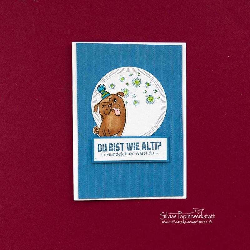 Wie alt bist Du in Hundejahren