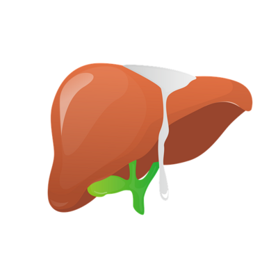 Liver Package