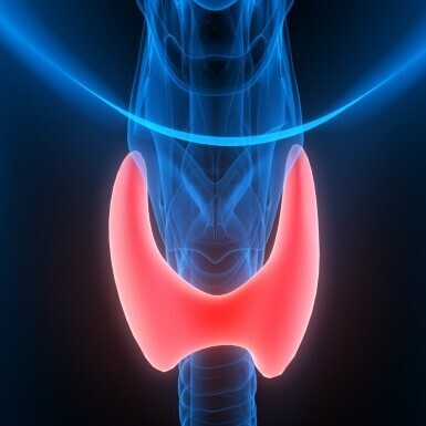THYROID FUNCTION &amp; RELATED TESTS