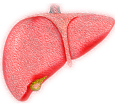 Jaundice and Liver Function tests