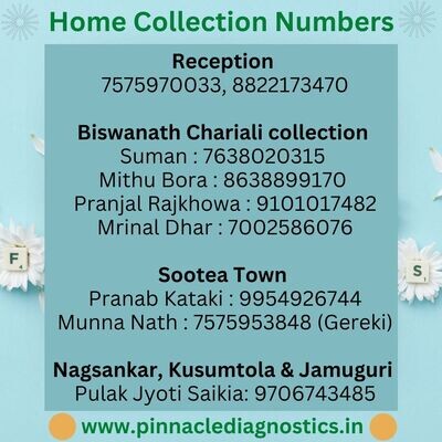 HOME COLLECTION SERVICES