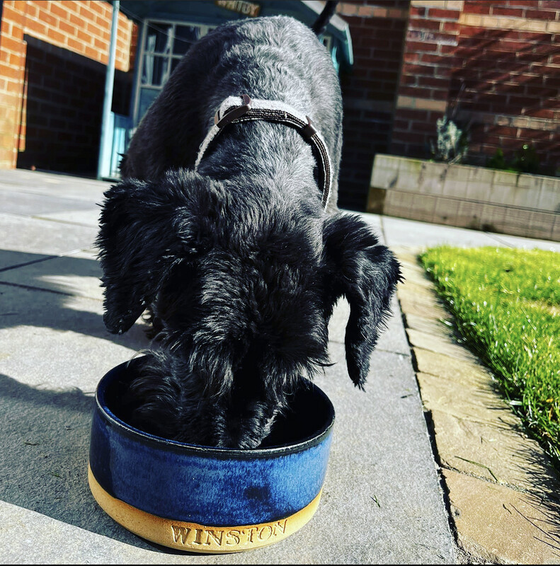 Personalised Medium Dog Bowl