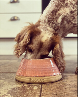 Personalised Pet Bowls