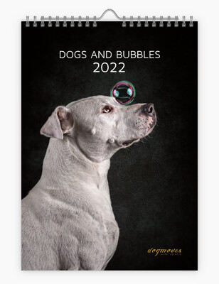 Dogs and Bubbles Kalender 2022 // Spiralbindung // DIN A3