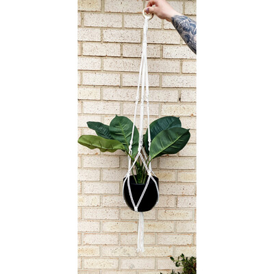 Plant Hanger