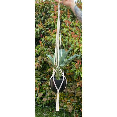 Plant Hanger