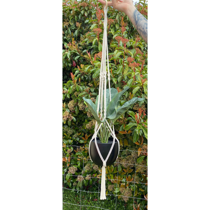 Plant Hanger